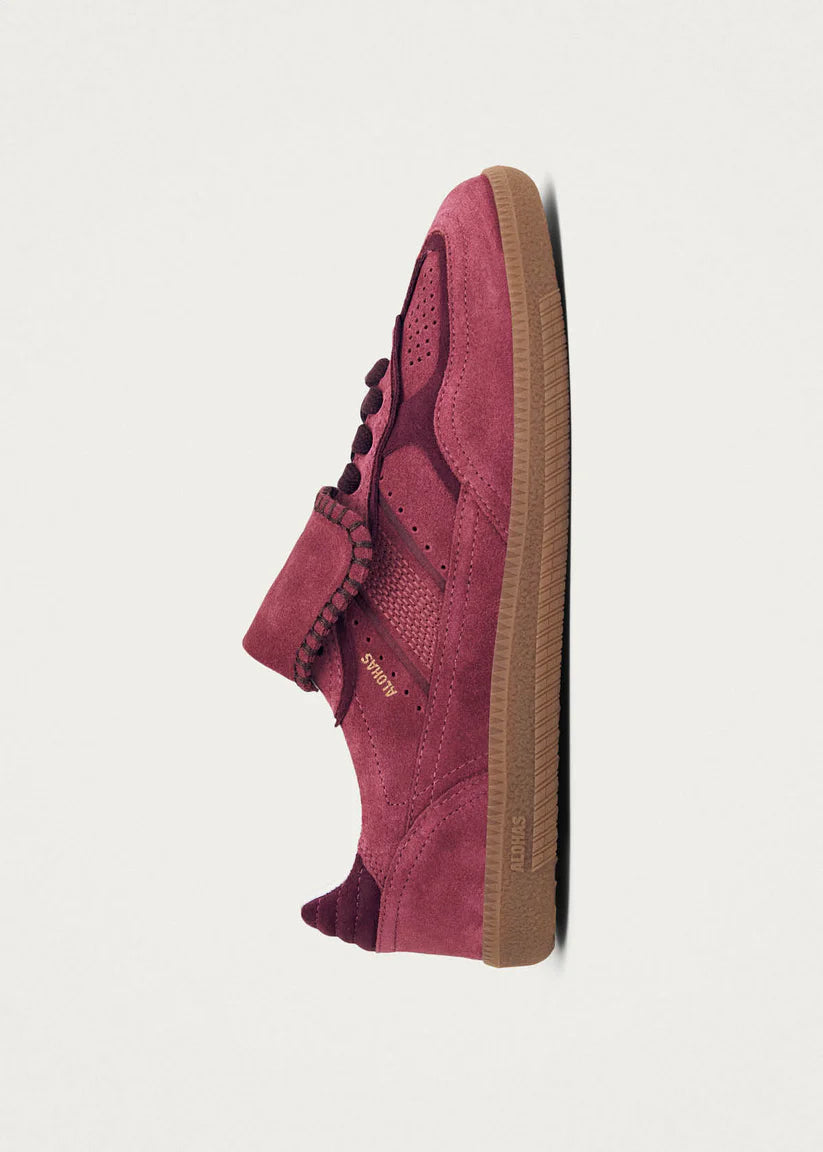 TB490 Club Suede Sneakers in Raspberry Leather