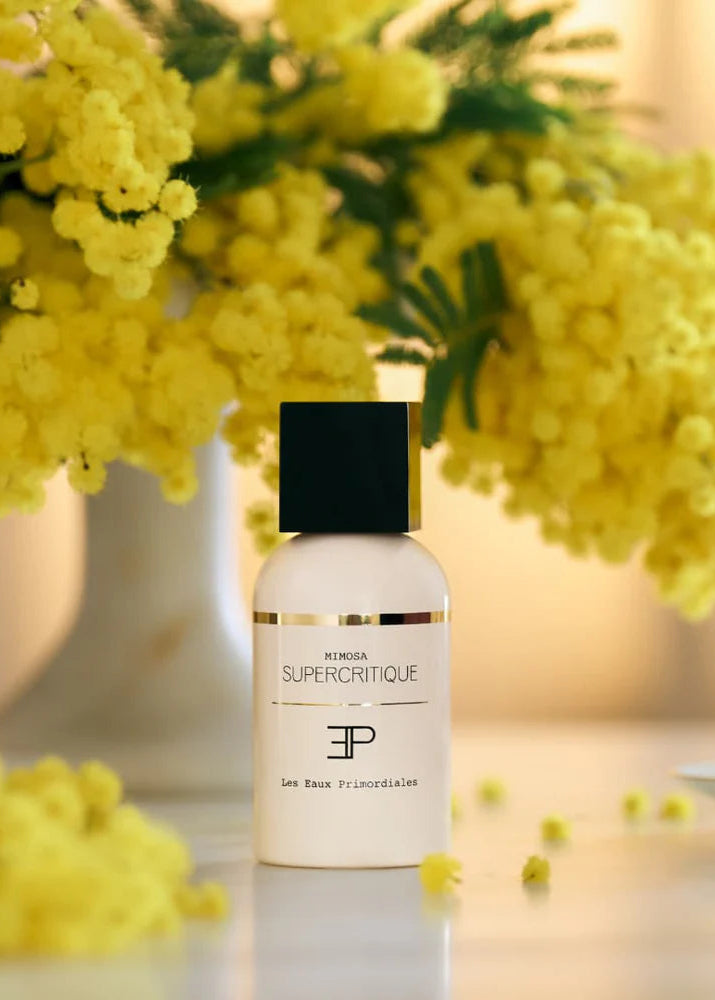 Mimosa Supercritique