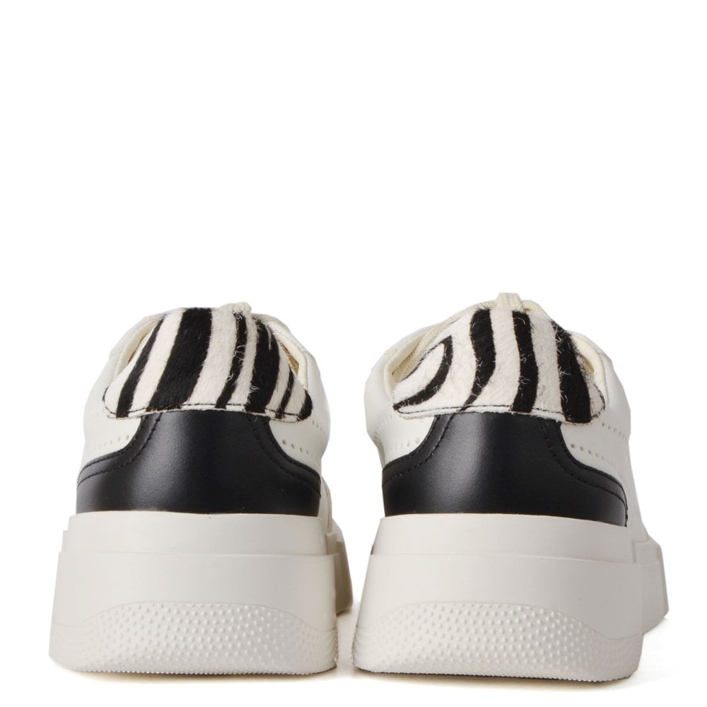 FREE SNEAKER WHITE - ASH