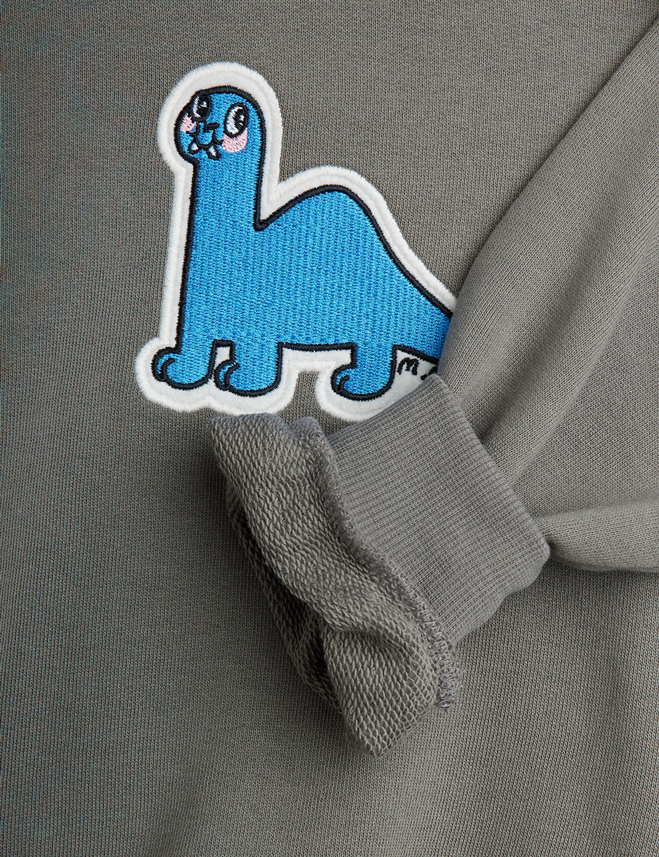 Dino Patch Sweatshirt in Grey