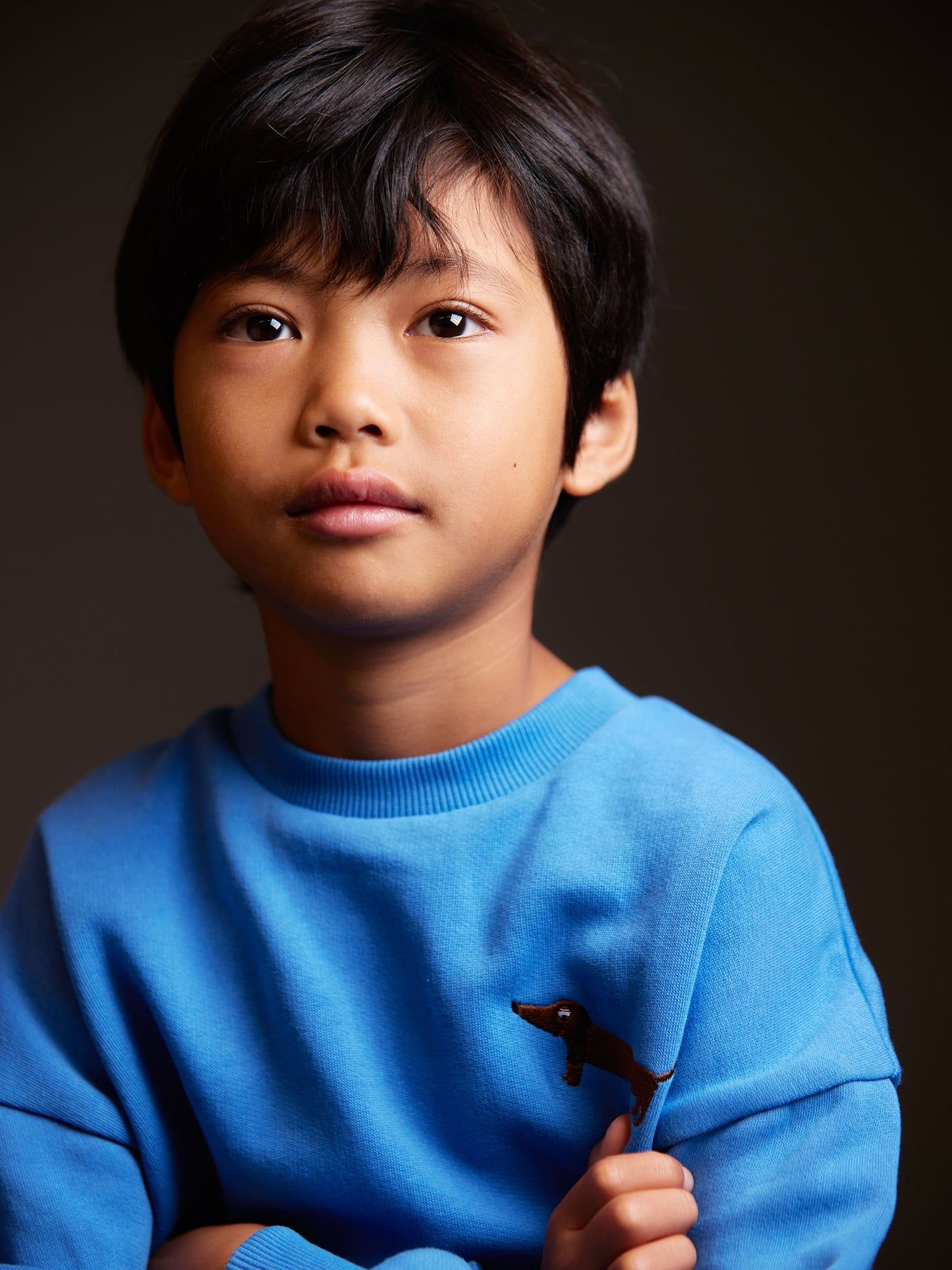 Dog Embroidered Sweatshirt in Blue