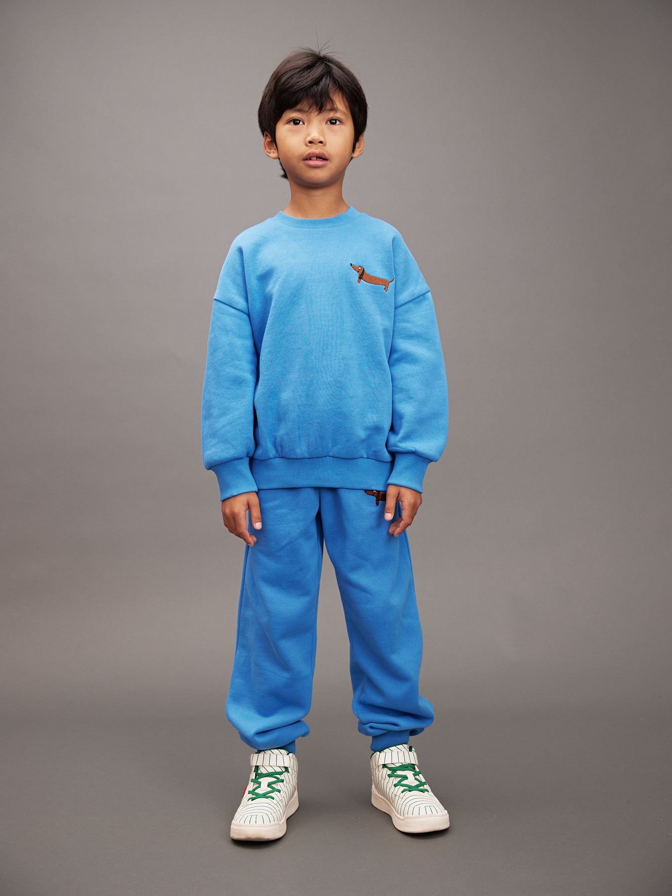 Dog Embroidered Sweatshirt in Blue