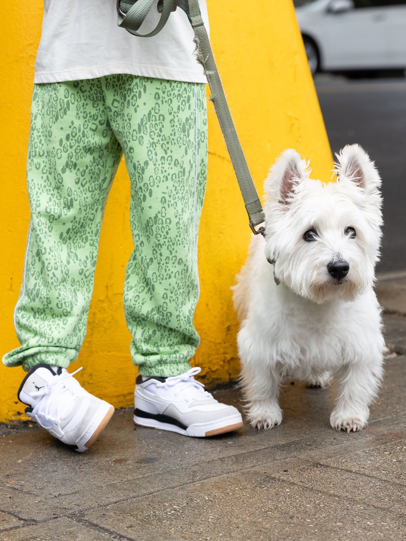 Mini Leopard Sweatpants in Green