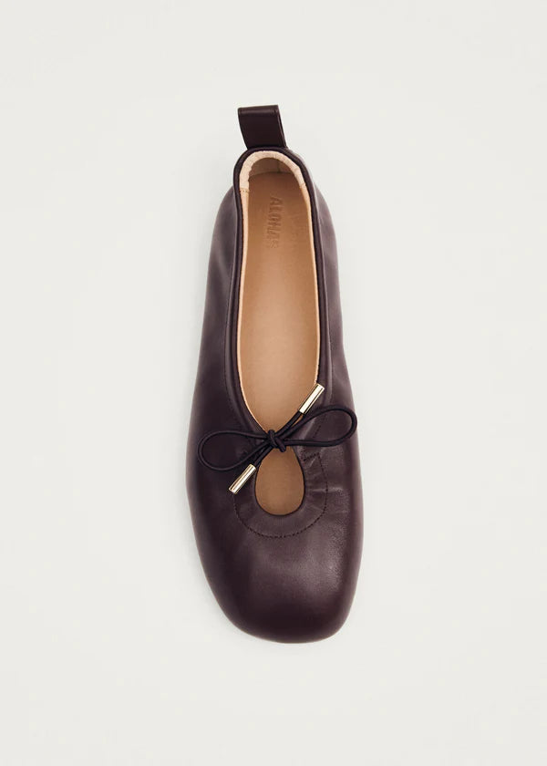 Rosalind Ballet Flats in Brown Leather