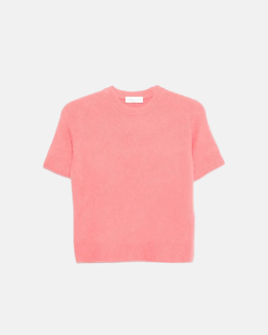Cashmere Short Sleeve Sweater in Pink