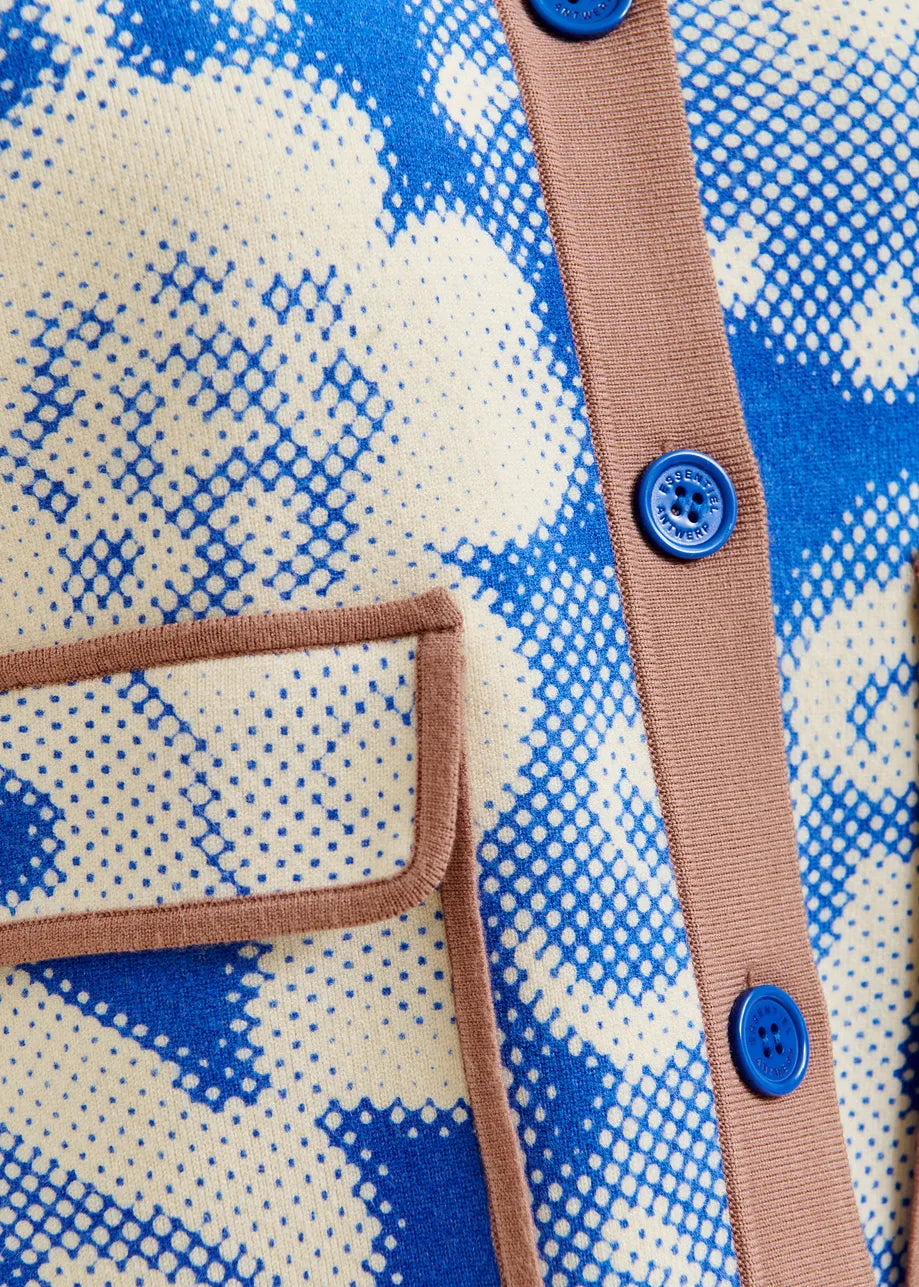 Joly Printed Knit Jacket in Blue