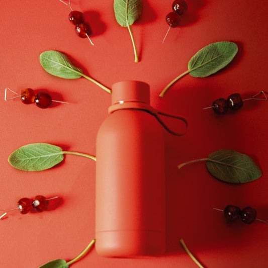 Insulated 500ml Bottle in Manhattan Red